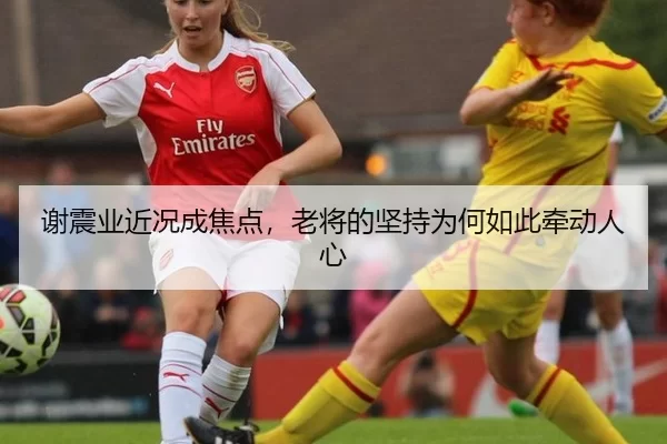 谢震业近况成焦点，老将的坚持为何如此牵动人心